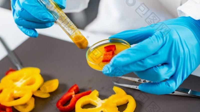小吃餐饮加盟：如何规避潜在风险，确保投资回报？**
